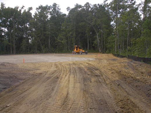 Cypress_before2