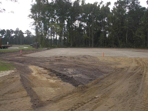 Cypress_before3