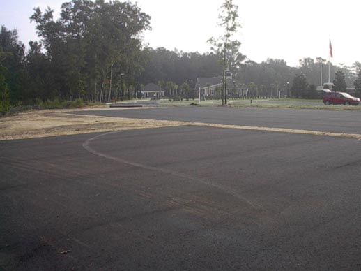 Cypress_during3