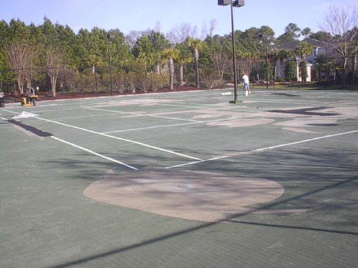 Savannah_shores_during2