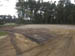 Cypress_before3