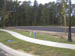 Cypress_during1