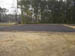Cypress_during4