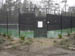 Cypress_during5