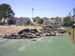 Deer_Creek_before1