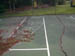 Fox_Hollow_before6
